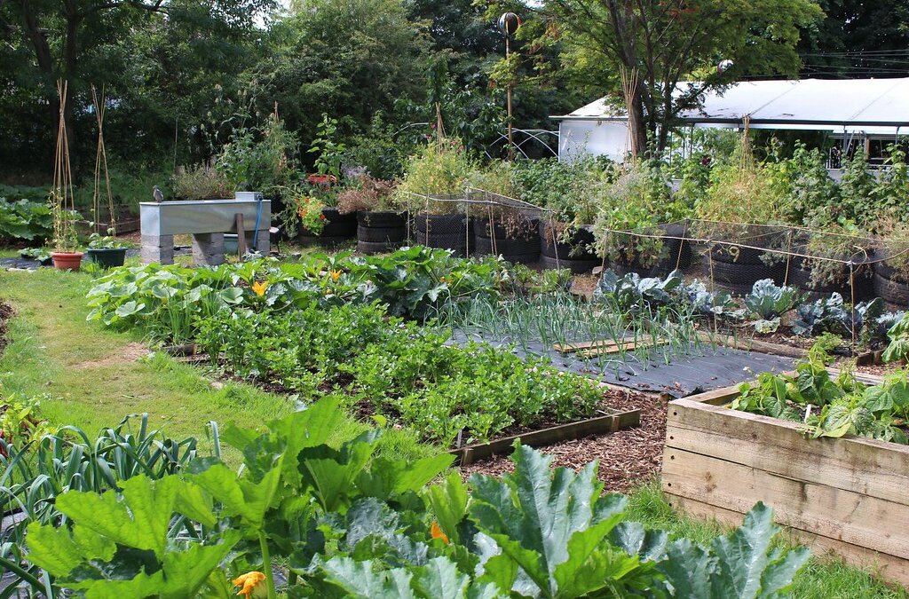 Now’s The Time to Start Your Permaculture Garden